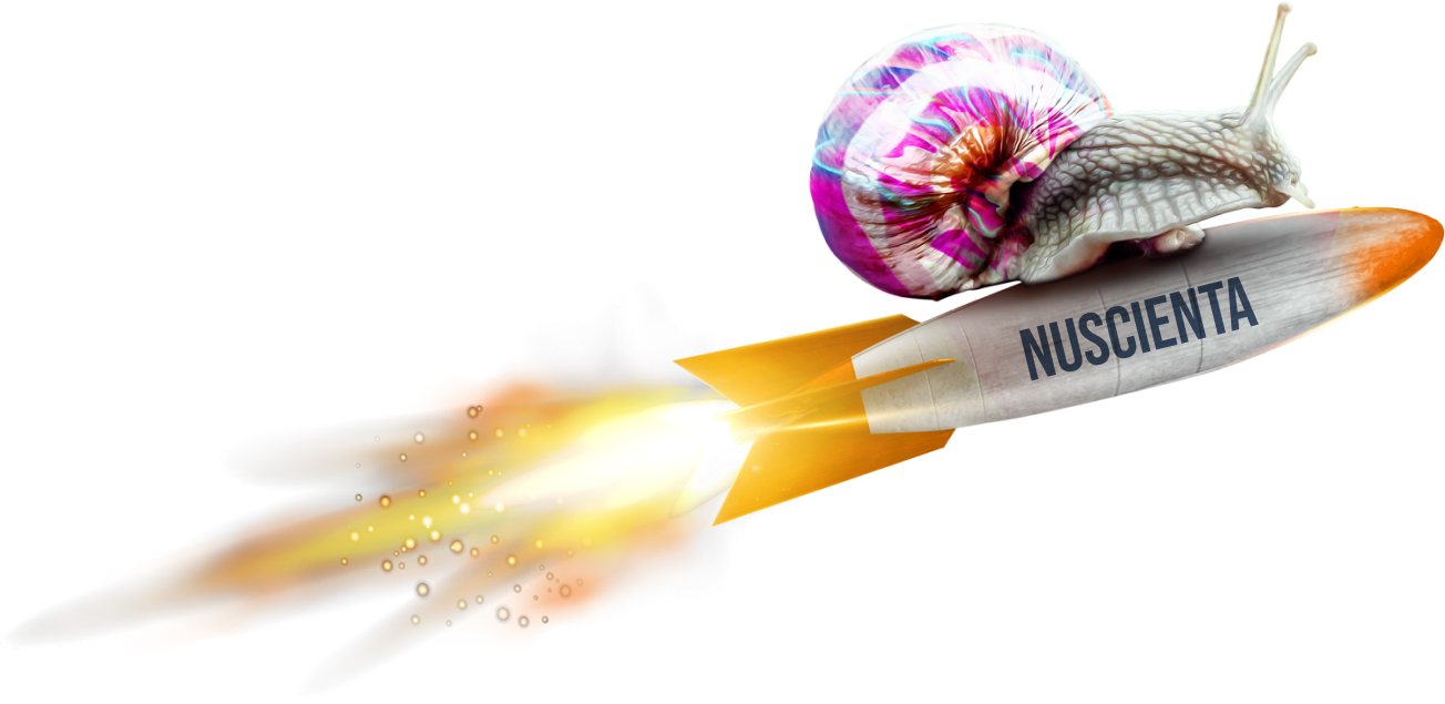 Snail on rocket.